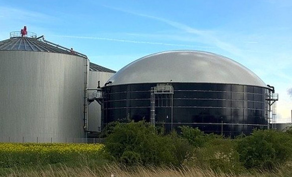 Tank biogas